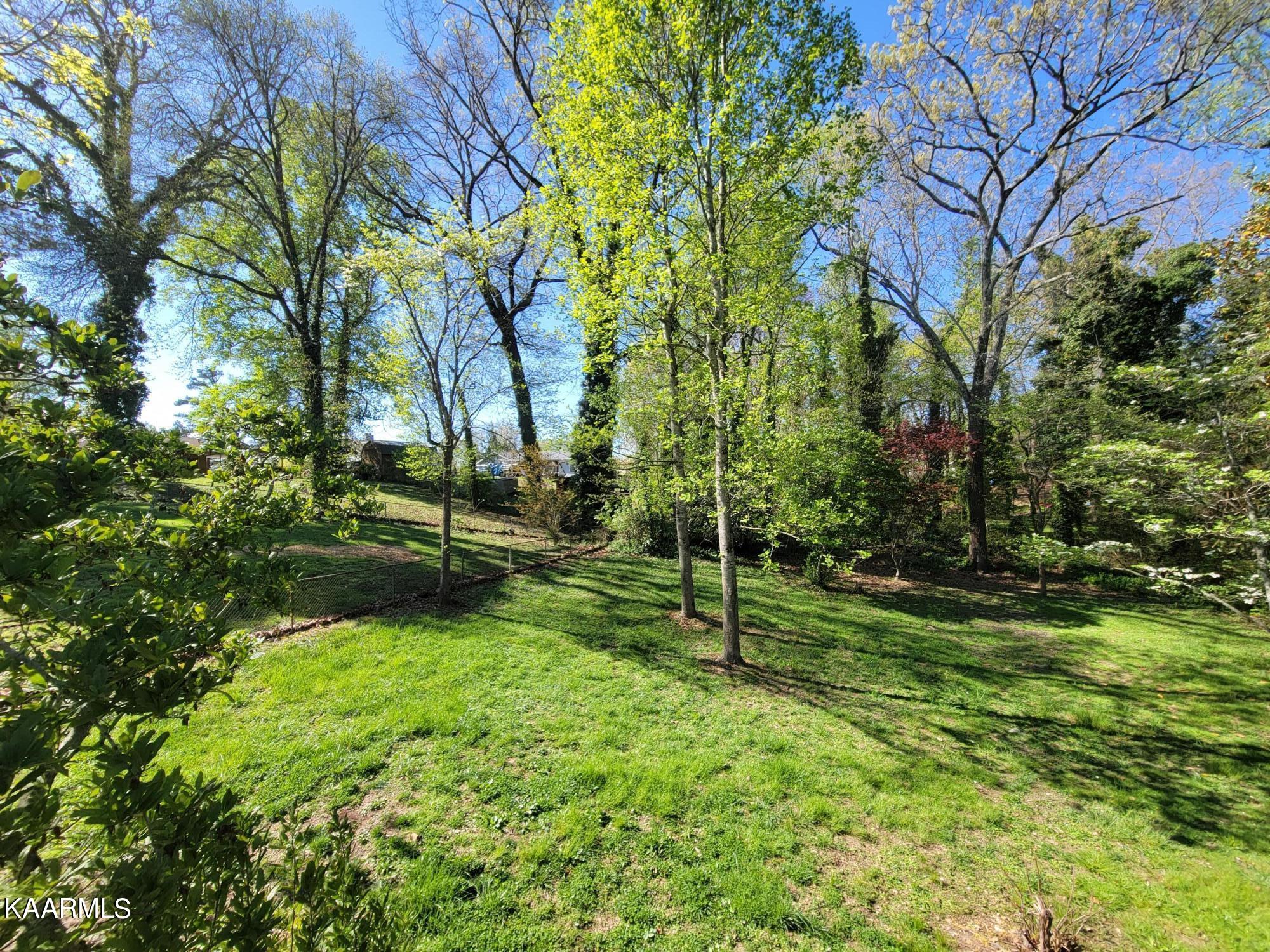 119 Georgia Avenue Oak Ridge, TN 37830 - Photo 22 of 24 View from Deck