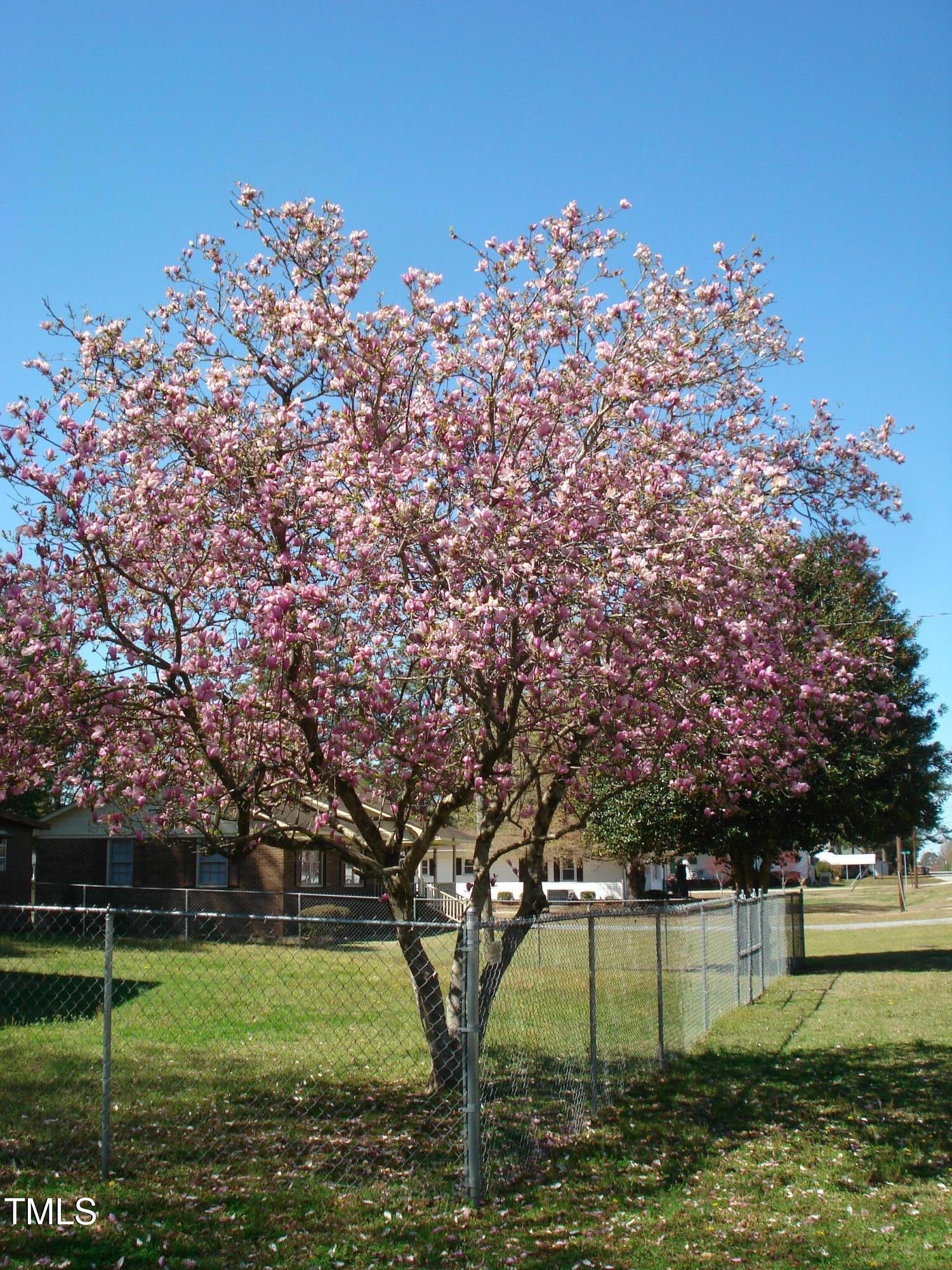 110 North 8th Street Erwin, NC 28339 - Photo 7 of 46 DSC07982