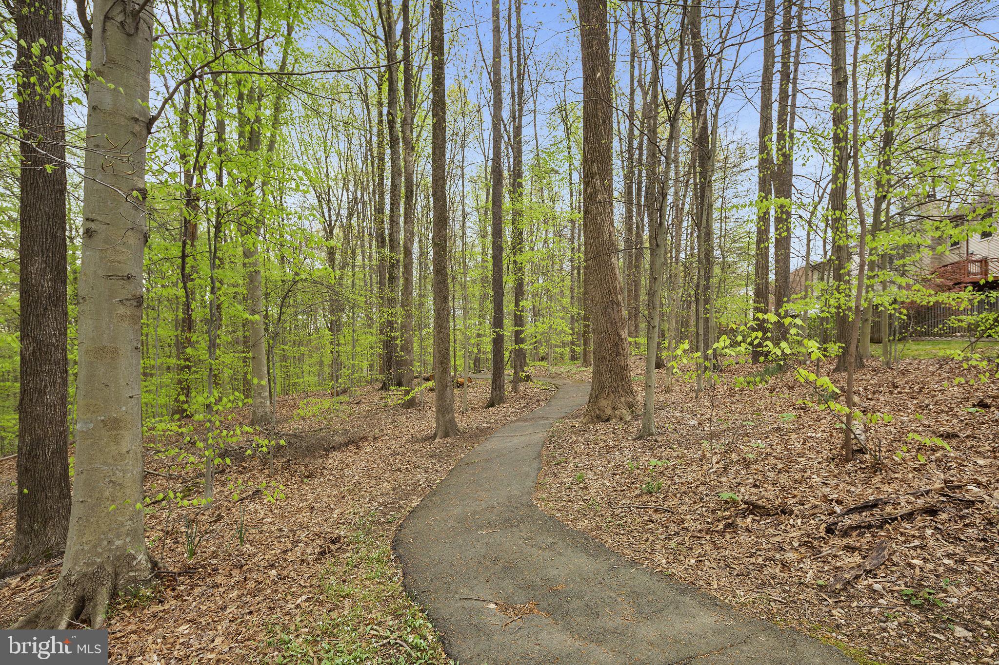 6245 Rathlin Drive Springfield, VA 22152 - Photo 41 of 43
