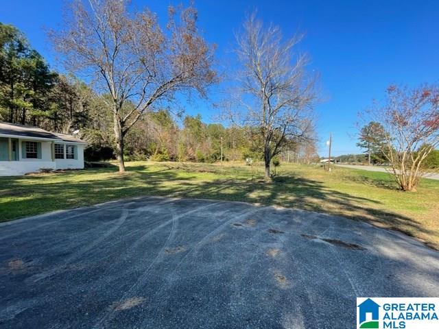 245 Highway 467 Vincent, AL 35178 - Photo 20 of 27
