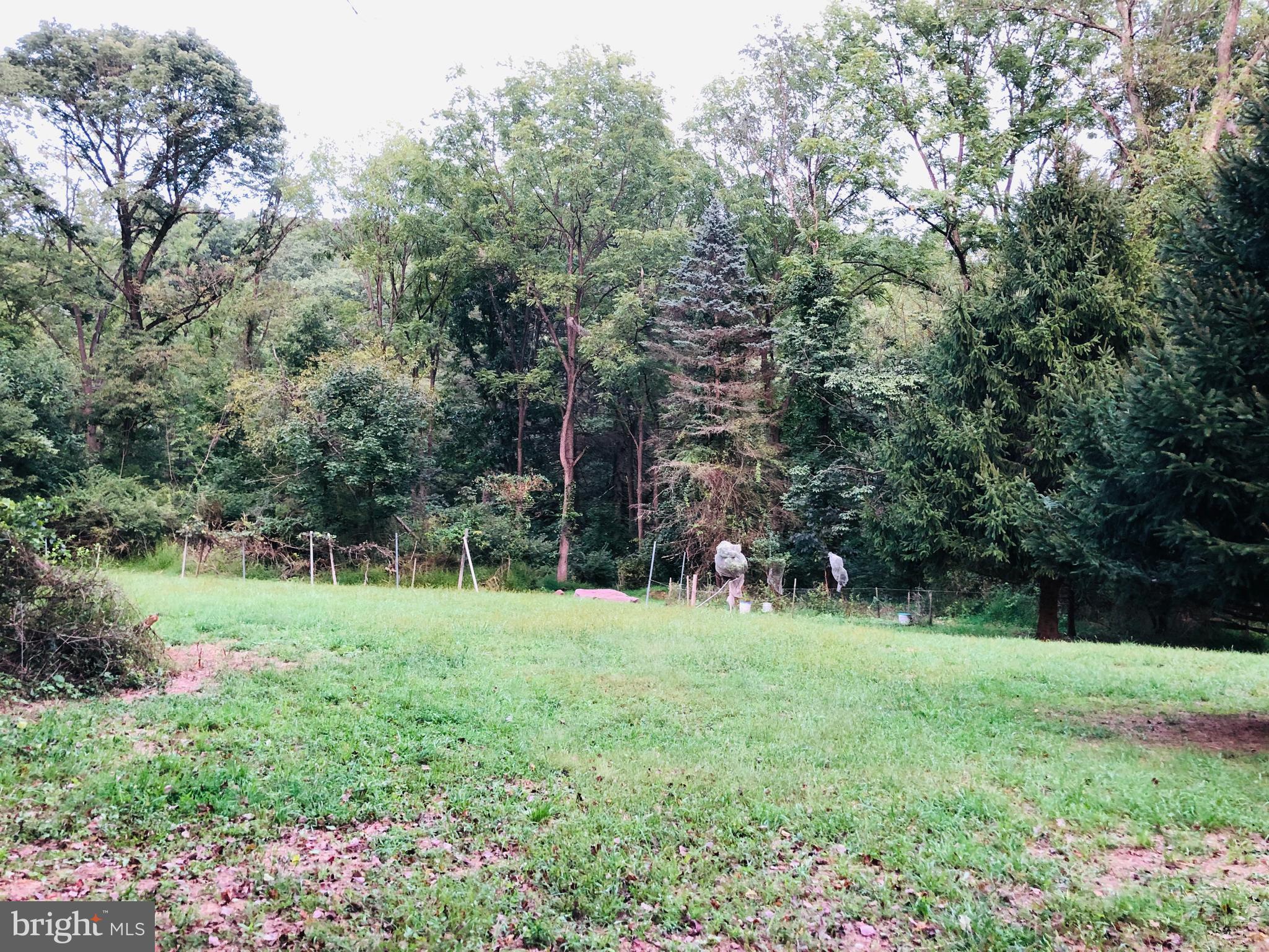 764 Ridgeway Road Birdsboro, PA 19508 - Photo 53 of 56 Upper field accessible from Ridgeway Rd.