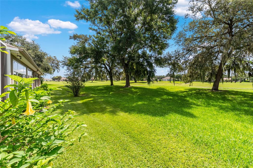 12895 Southeast 91st Terrace Road Summerfield, FL 34491 - Photo 84 of 98