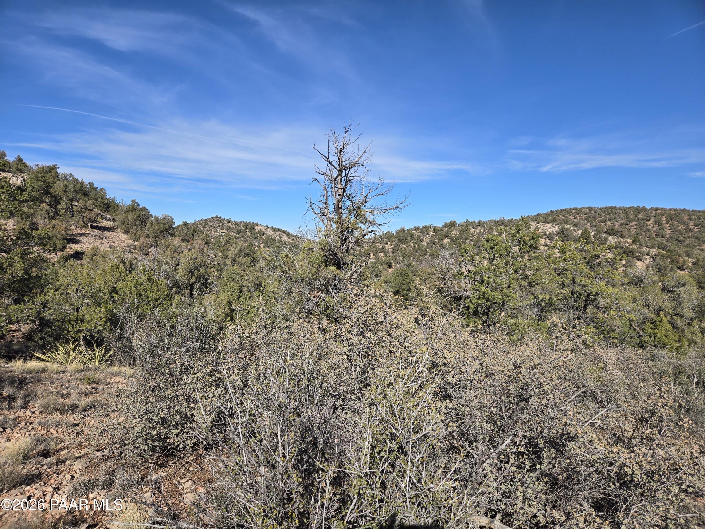133 Arizona Road Ash Fork, AZ 86320 - Photo 12 of 21 a view of a field