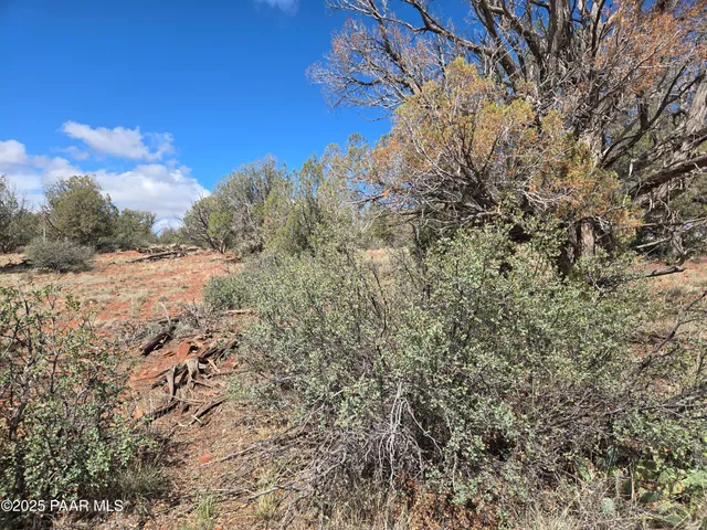 $40,000 | 133 Arizona Road, Ash Fork, AZ 86320