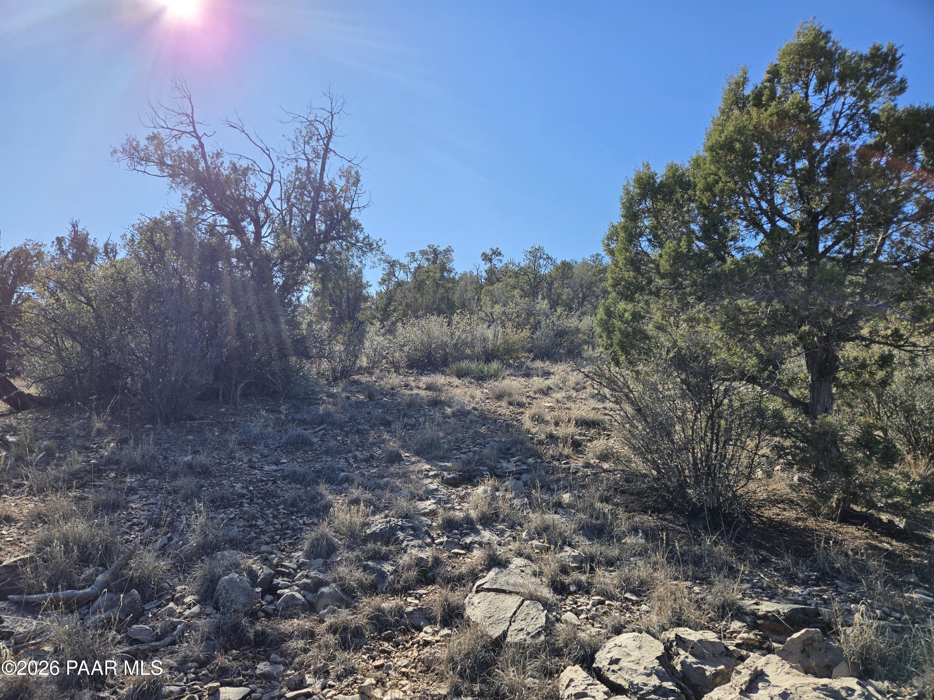 133 Arizona Road Ash Fork, AZ 86320 - Photo 9 of 21 a view of a yard with a tree