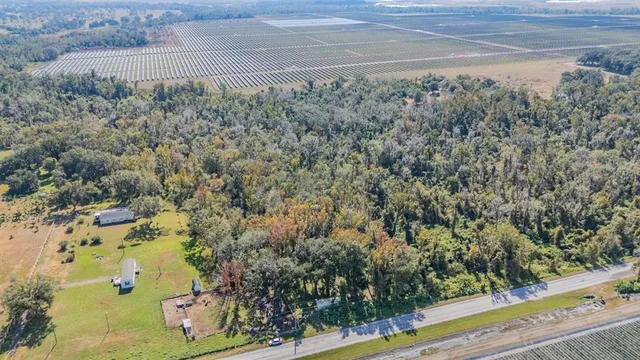 a view of a yard with large trees