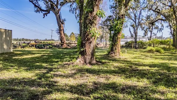 a view of a yard with a tree