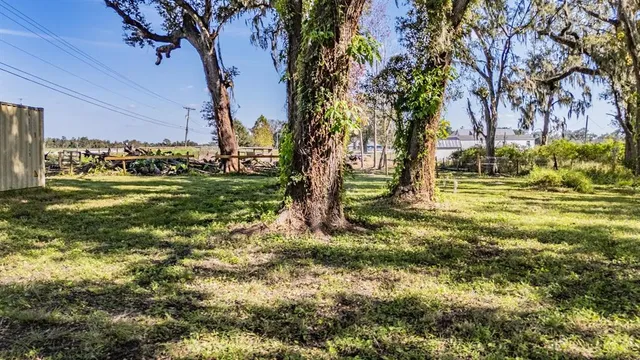 a view of a yard with a tree