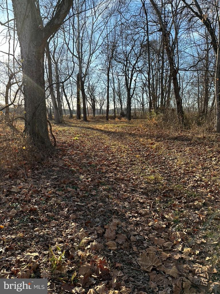 8184 Fox Groves Road Remington, VA 22734 - Photo 26 of 38