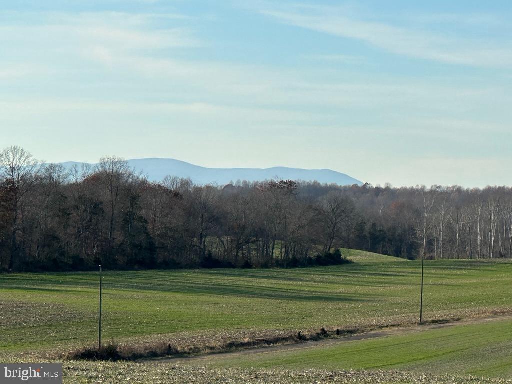 8184 Fox Groves Road Remington, VA 22734 - Photo 27 of 38