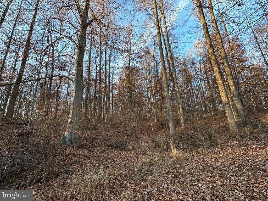 8184 Fox Groves Road Remington, VA 22734 - Photo 30 of 38