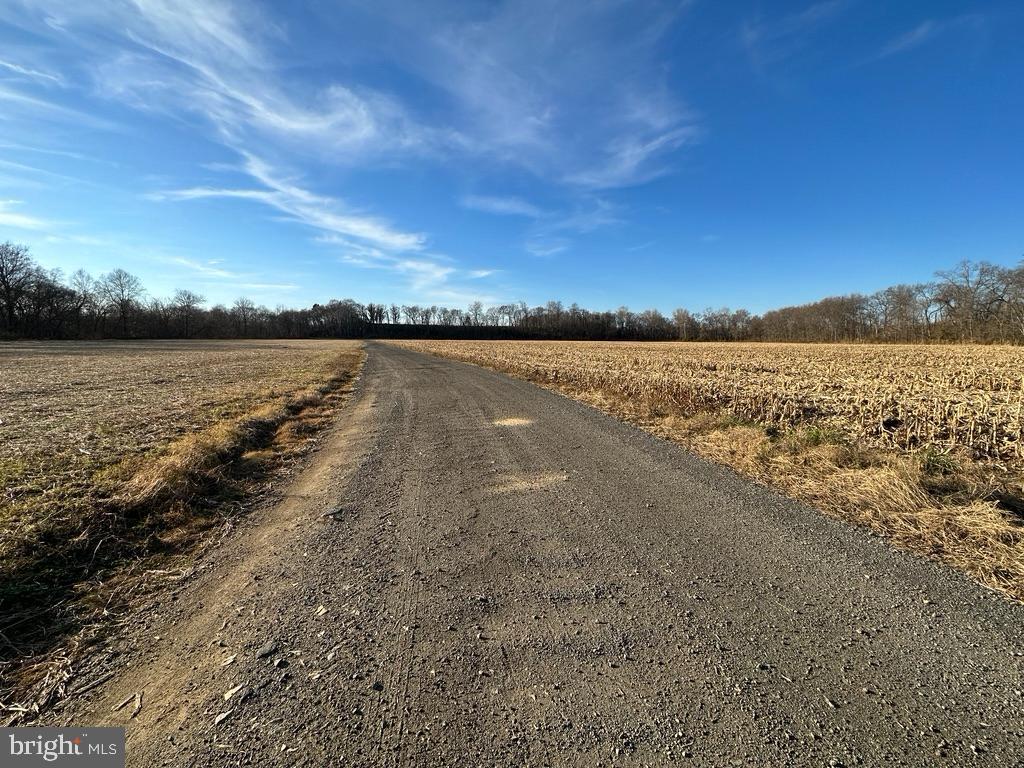 8184 Fox Groves Road Remington, VA 22734 - Photo 31 of 38