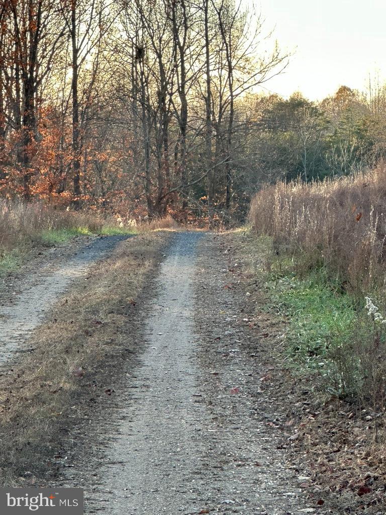 8184 Fox Groves Road Remington, VA 22734 - Photo 32 of 38