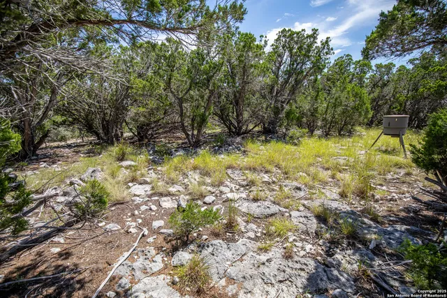 a yard with a tree in the background