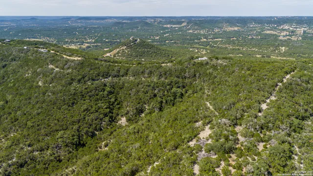 a view of a city with lush green forest