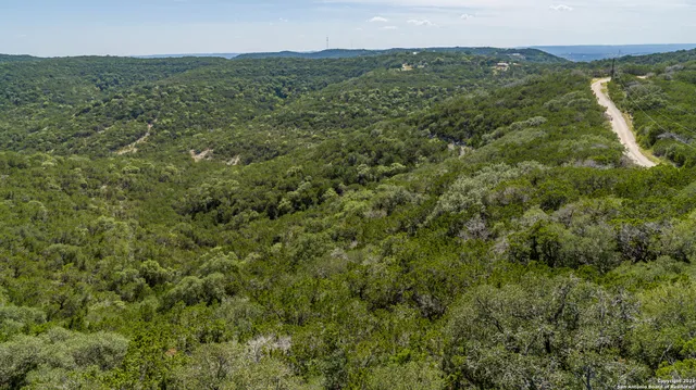 a view of a city with lush green forest