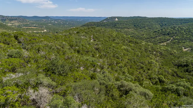 a view of a city with lush green forest