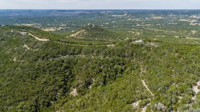 a view of a big yard with plants and large trees