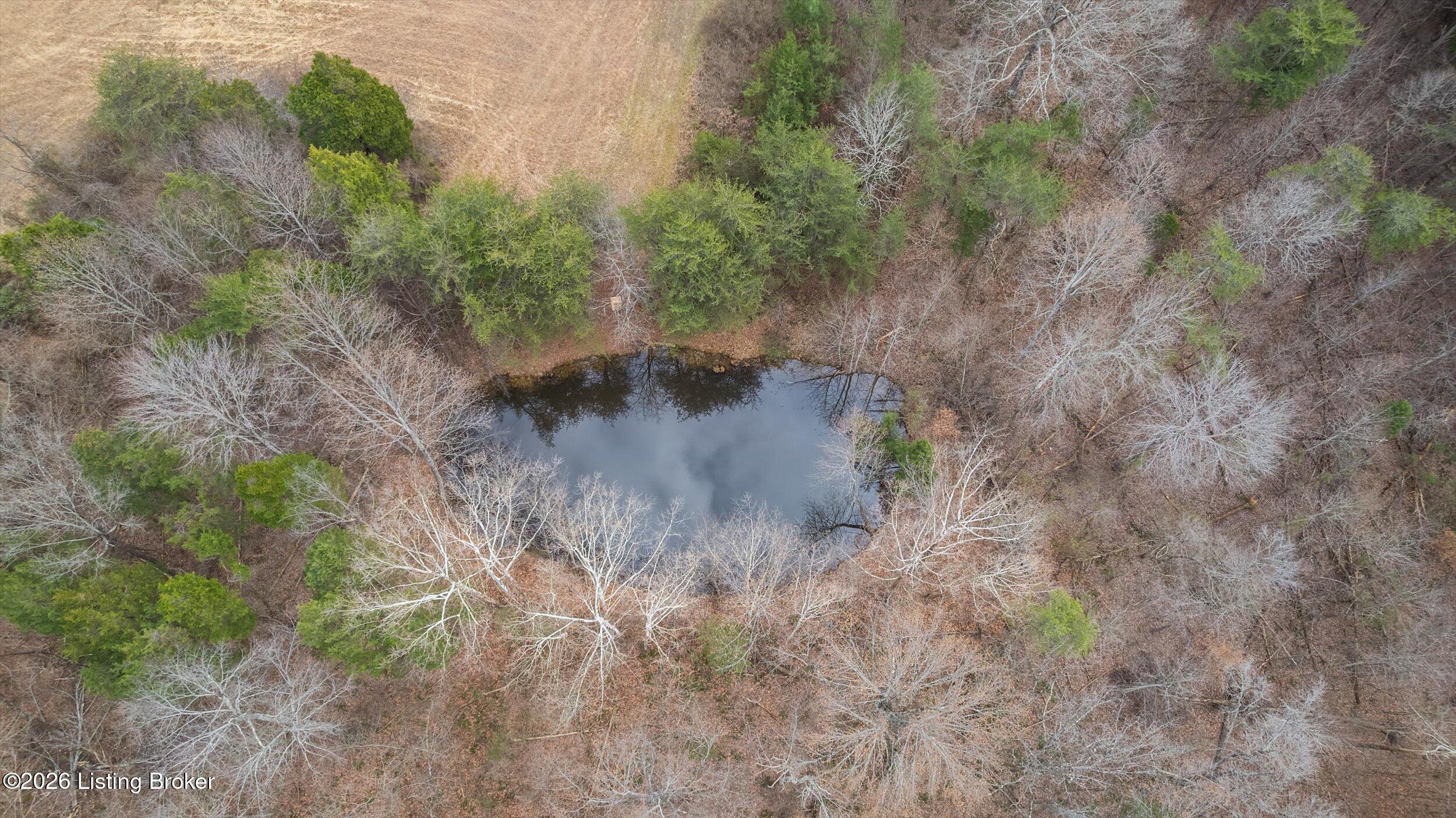 2795 North Pleasant Hill Road Upton, KY 42784 - Photo 4 of 28 18-DJI_0887