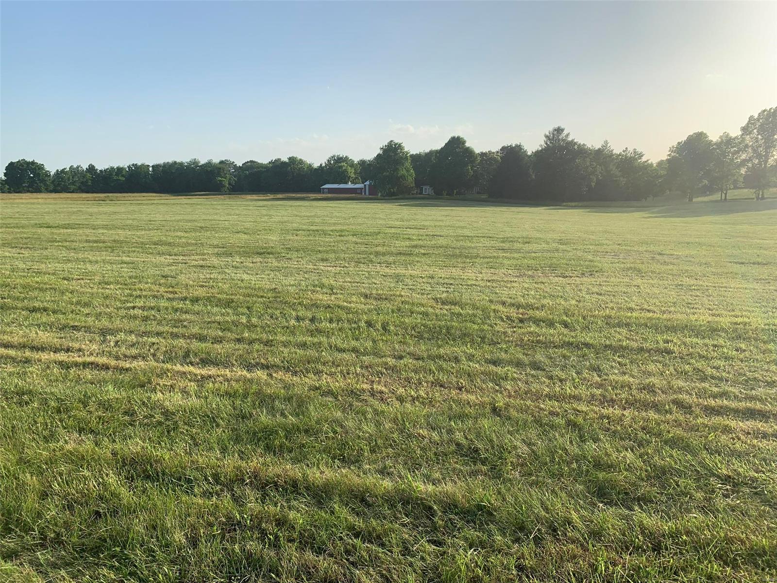 6250 Renken Road Dorsey, IL 62021 - Photo 8 of 11