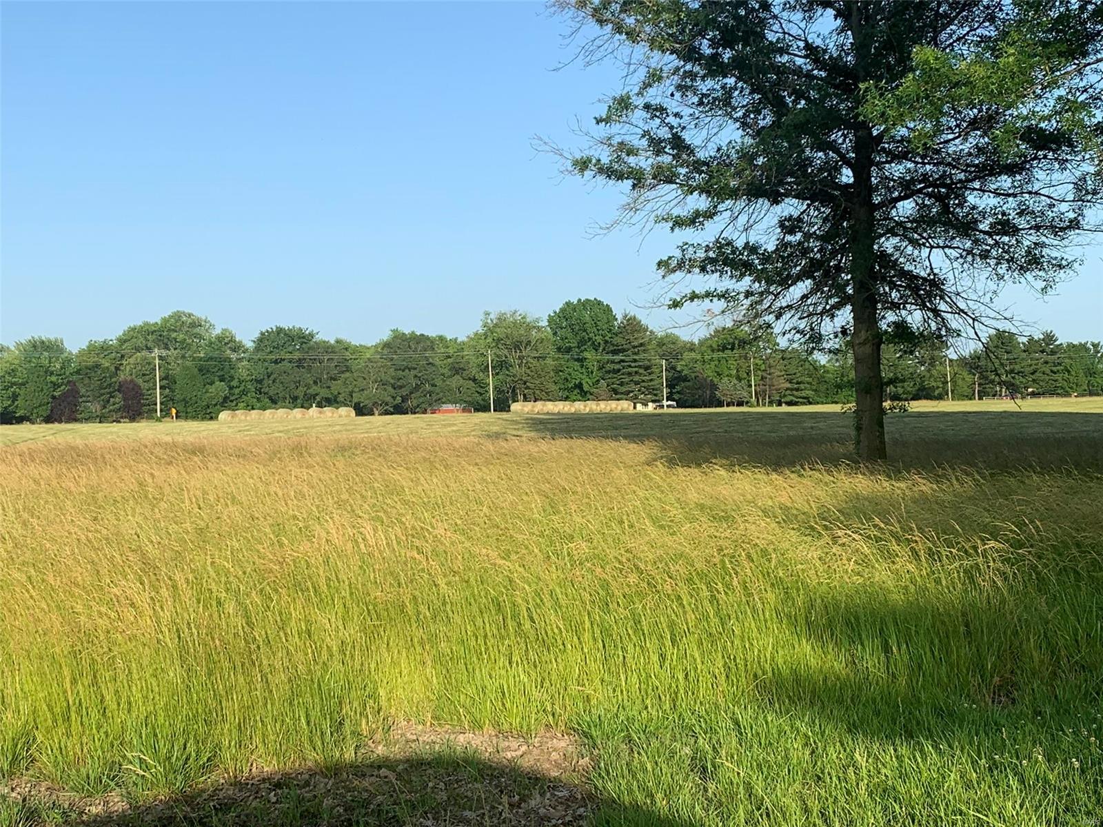 6250 Renken Road Dorsey, IL 62021 - Photo 10 of 11