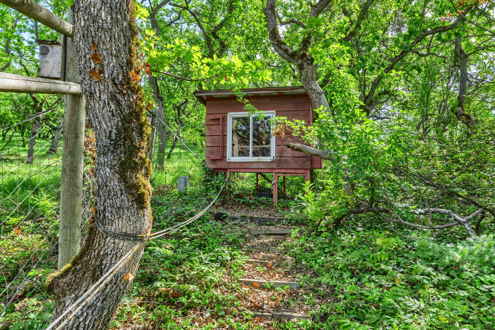 783 South Stage Road Medford, OR 97501 - Photo 43 of 70 17_SS_17_mls