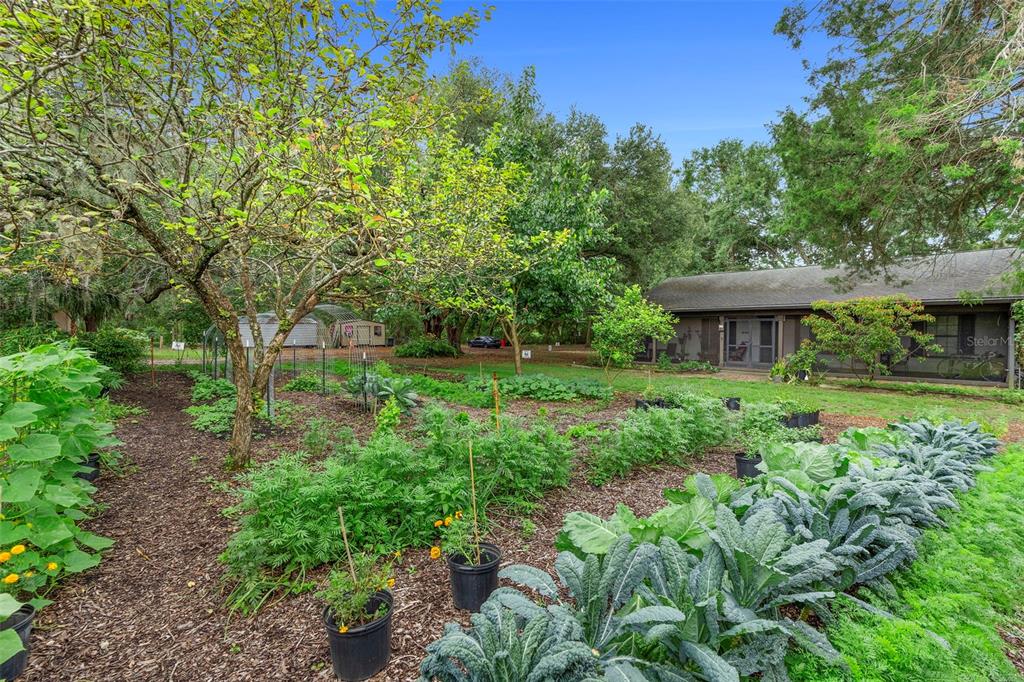 2026 Lewis Road Leesburg, FL 34748 - Photo 43 of 93