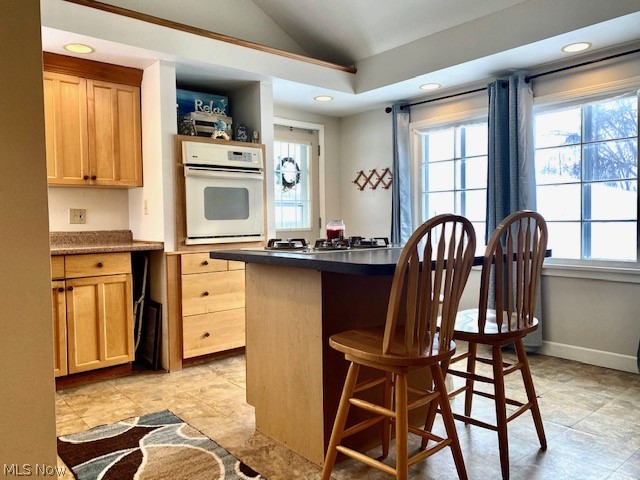 7210 North Ridge Road Madison, OH 44057 - Photo 8 of 19 Gallery Image 8