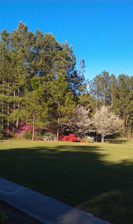 211 Ordie Road St. George, SC 29477 - Photo 20 of 31 20190922220618431218000000-o
