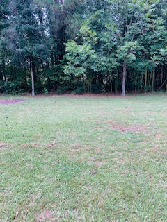 211 Ordie Road St. George, SC 29477 - Photo 31 of 31 unnamed