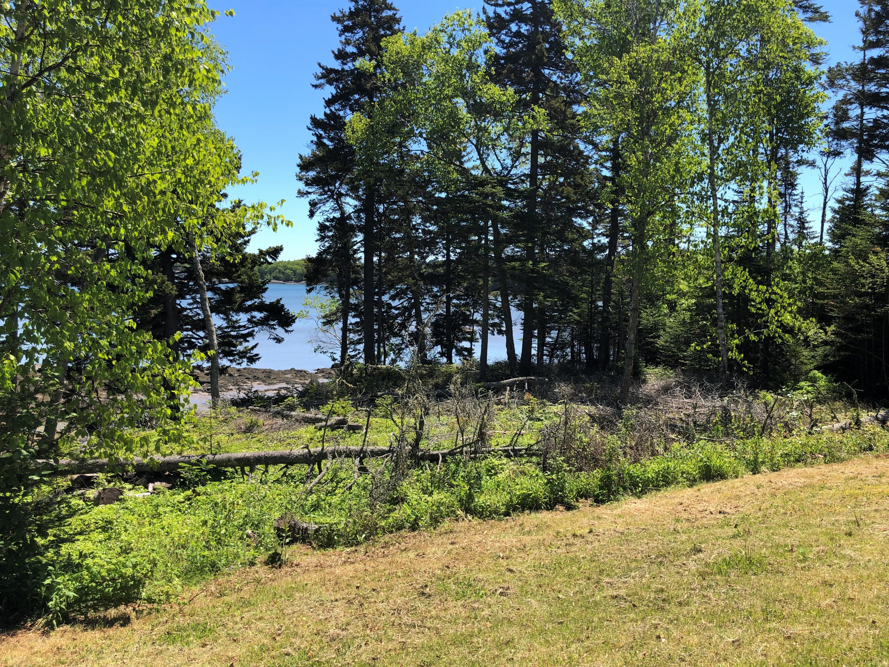 18 Dyers Point Road Addison, ME 04606 - Photo 8 of 50 water frontage