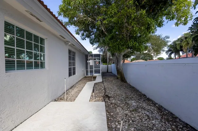a view of a backyard with a large tree