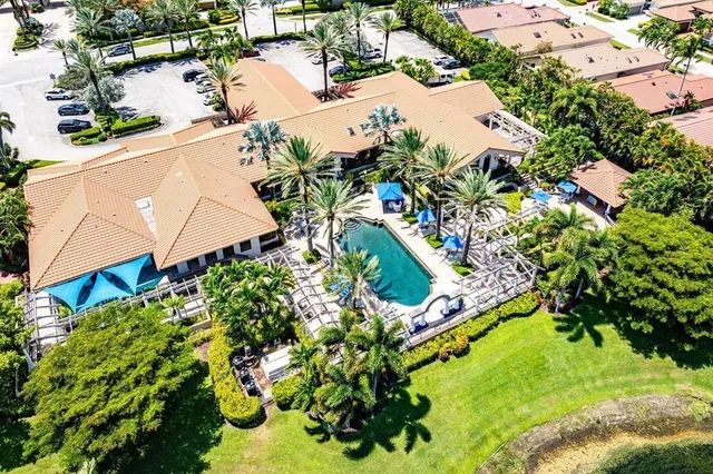 view of a tree with an outdoor space