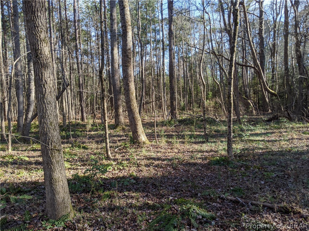 2 Chestnut Fork Road Gloucester, VA 23061 - Photo 10 of 11