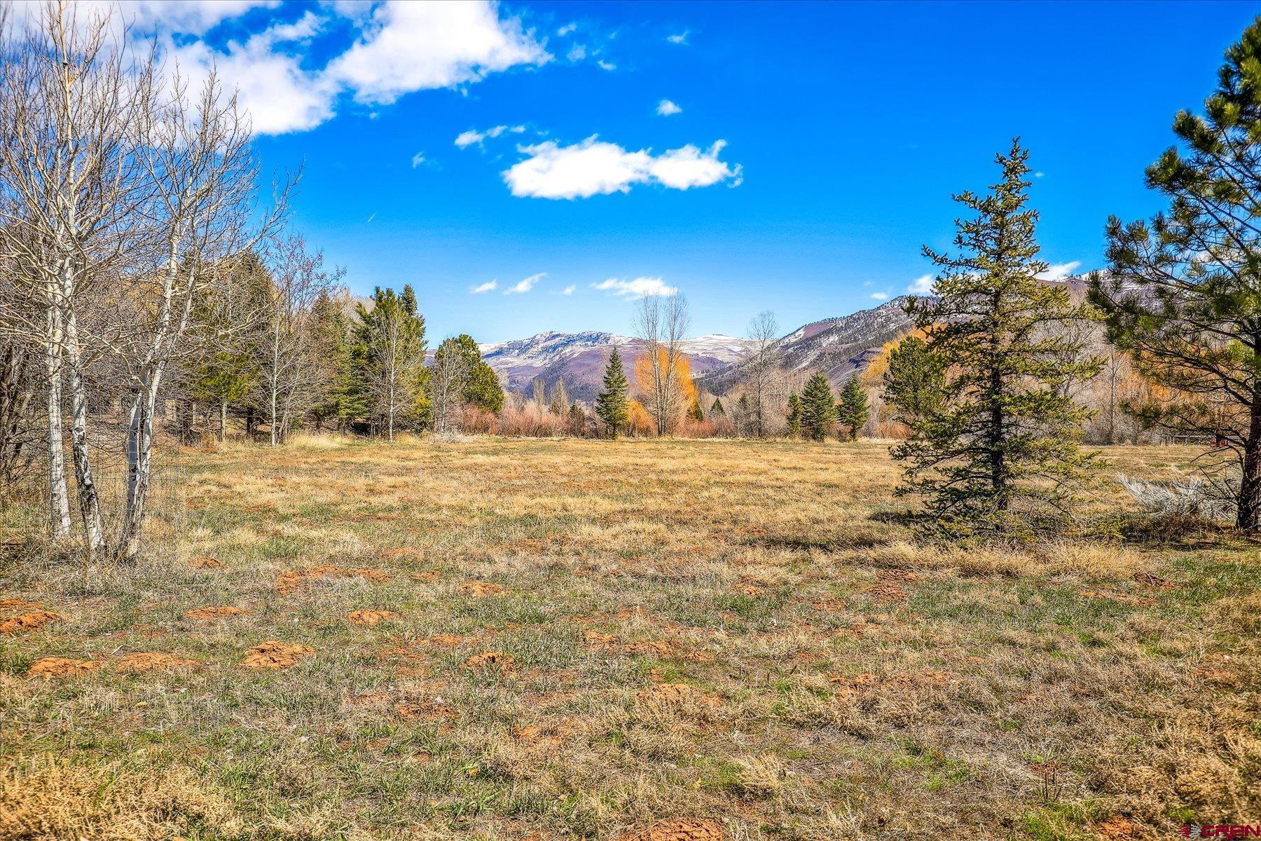 510 Red Rock Road Durango, CO 81301 - Photo 8 of 19 Gallery Image 8