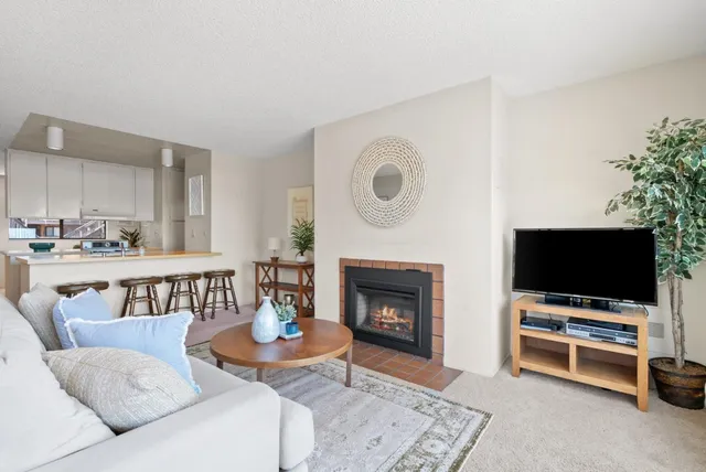 a living room with furniture a flat screen tv and a fireplace