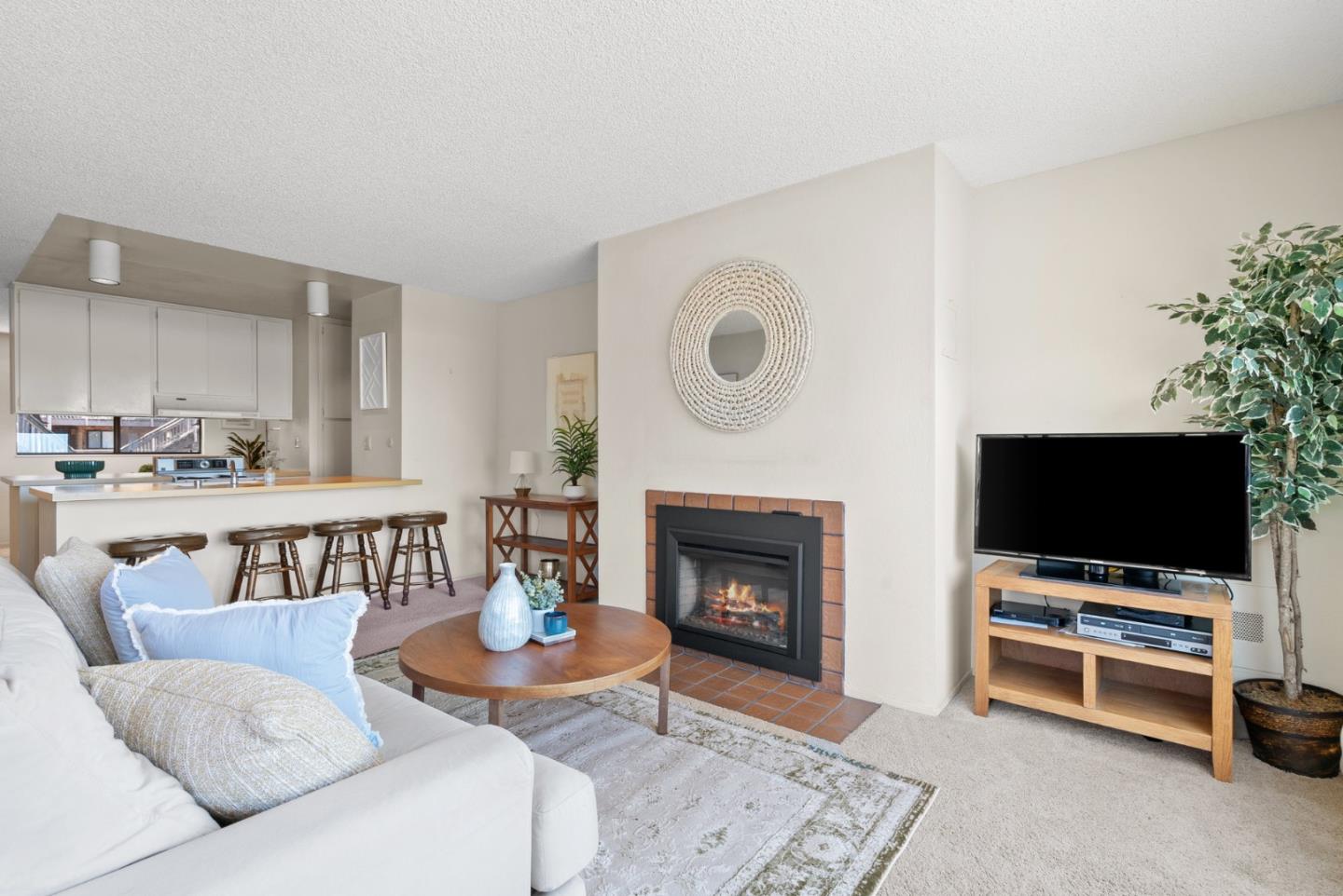 101 Shell Road, Unit 227 Watsonville, CA 95076 - Photo 8 of 29 a living room with furniture a flat screen tv and a fireplace