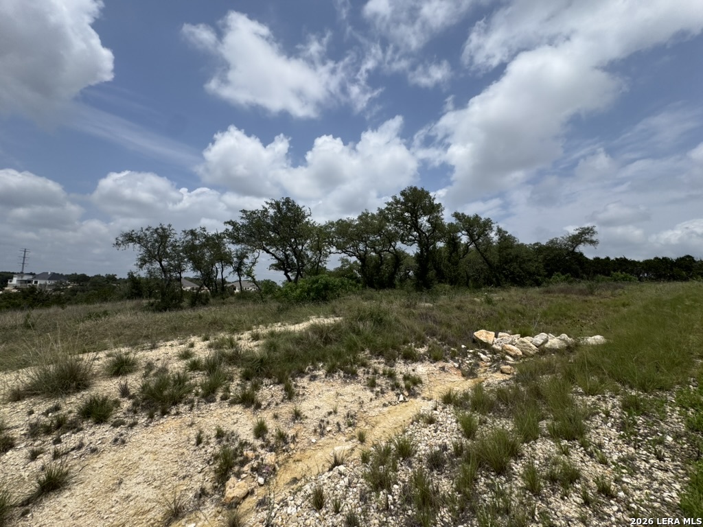 686 Butler Oaks Bulverde, TX 78163 - Photo 10 of 11