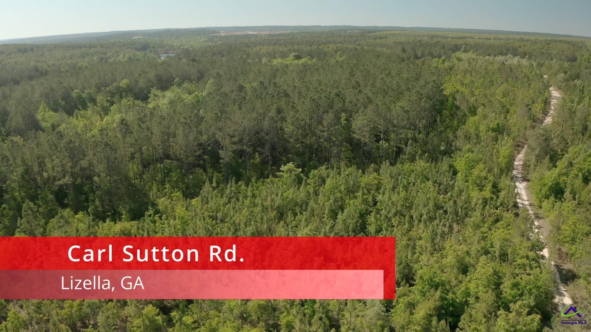 Carl Sutton Road Lizella, GA 31052 - Photo 3 of 23