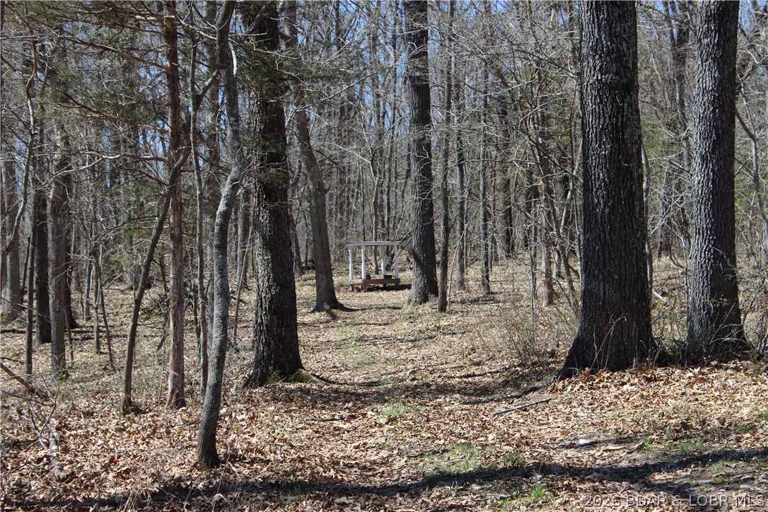 158 Ponder Slab Road Iberia, MO 65486 - Photo 31 of 33