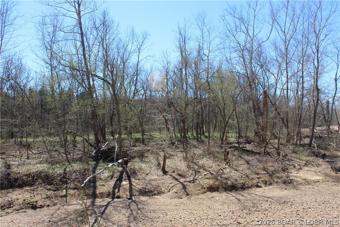 158 Ponder Slab Road Iberia, MO 65486 - Photo 5 of 33