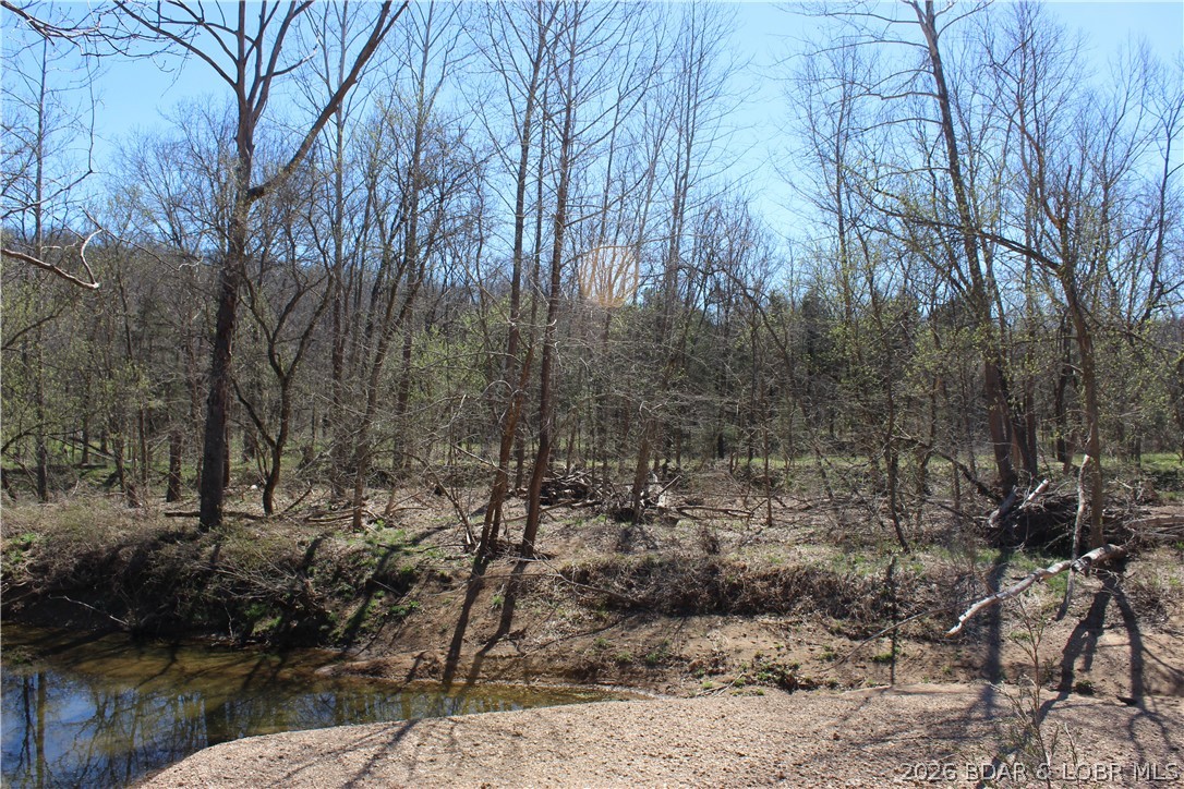 158 Ponder Slab Road Iberia, MO 65486 - Photo 6 of 33