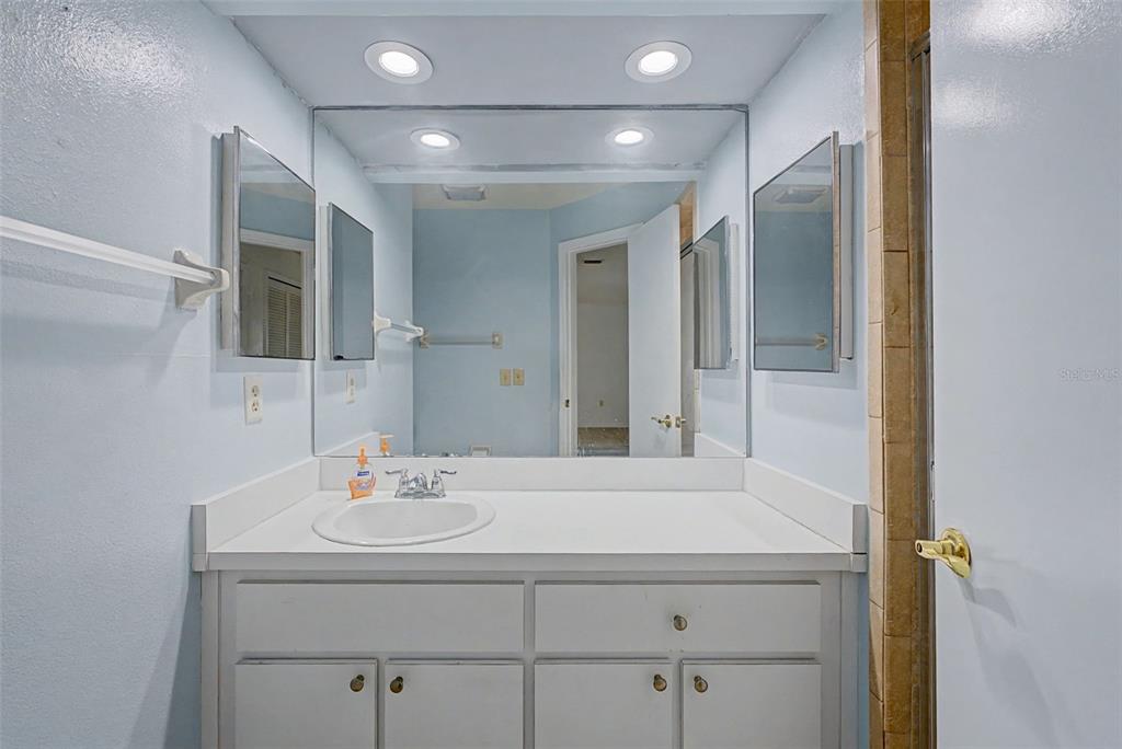 7406 Heather Walk Drive Weeki Wachee, FL 34613 - Photo 48 of 49 a bathroom with a sink and a mirror