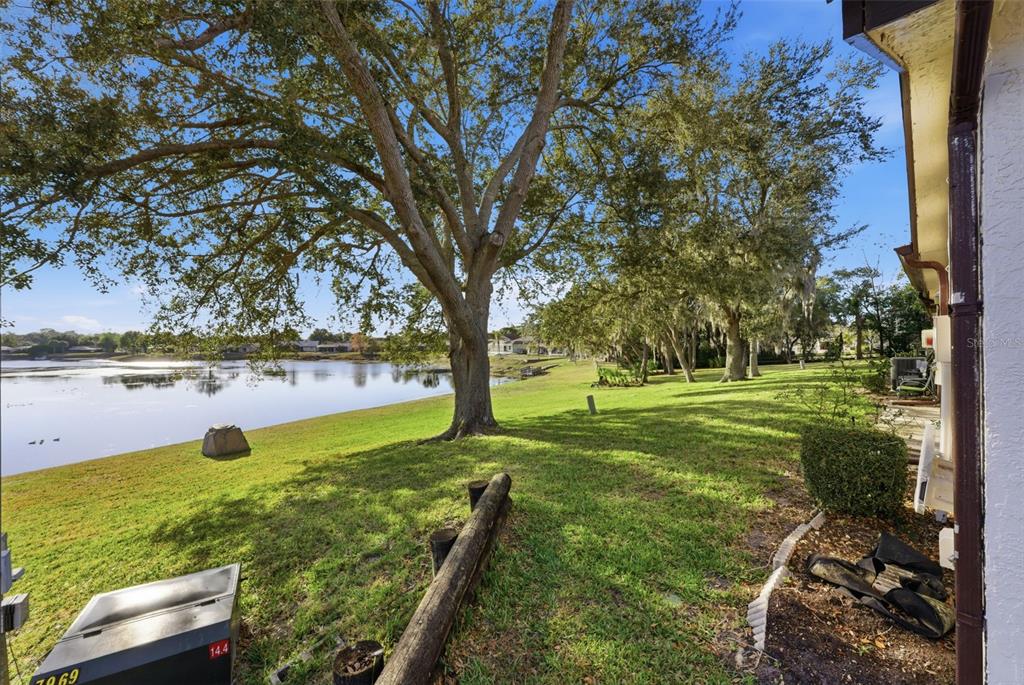 7406 Heather Walk Drive Weeki Wachee, FL 34613 - Photo 6 of 49 a view of yard with an outdoor space