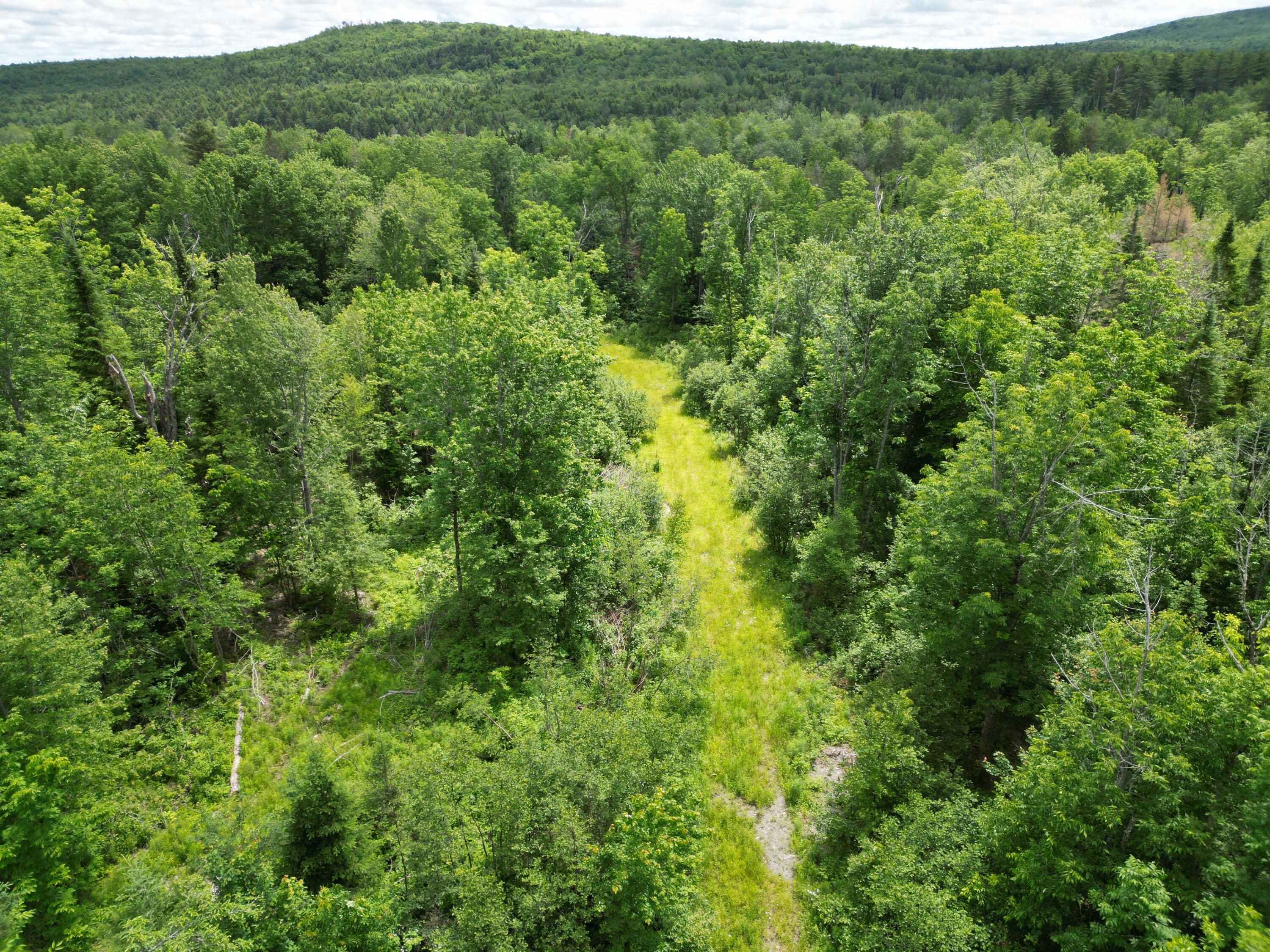 Lot 2 Main Road Carroll Plt, ME 04487 - Photo 8 of 14 DJI_0756