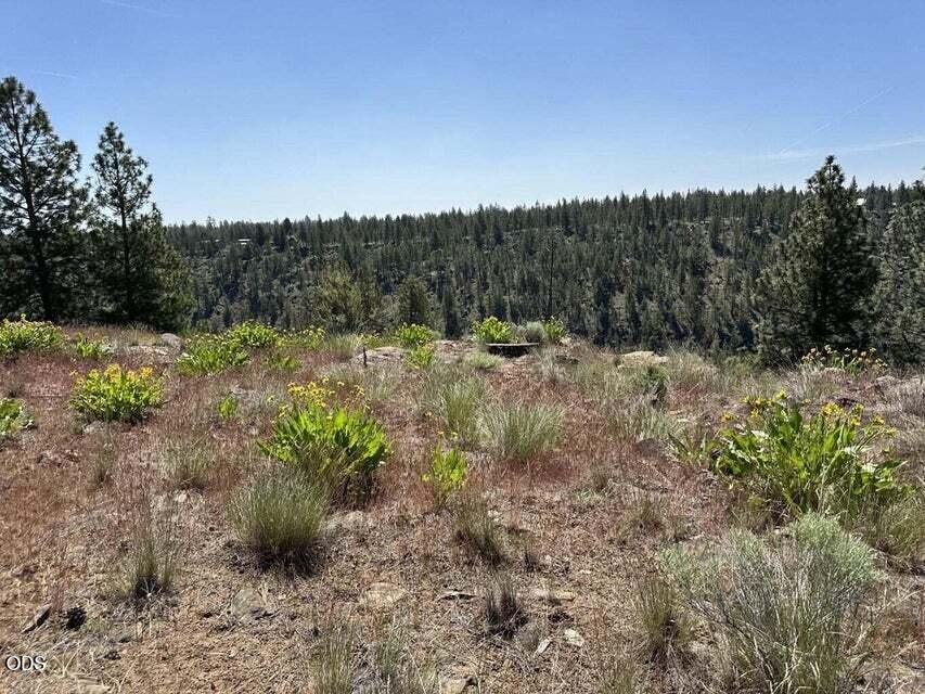 17127 Mountain View Road Sisters, OR 97759 - Photo 9 of 16 Gallery Image 9