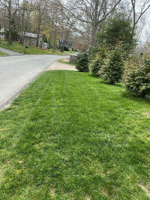 92 Springhill Road Vineyard Haven, MA 02568 - Photo 17 of 38 a view of a park with large trees