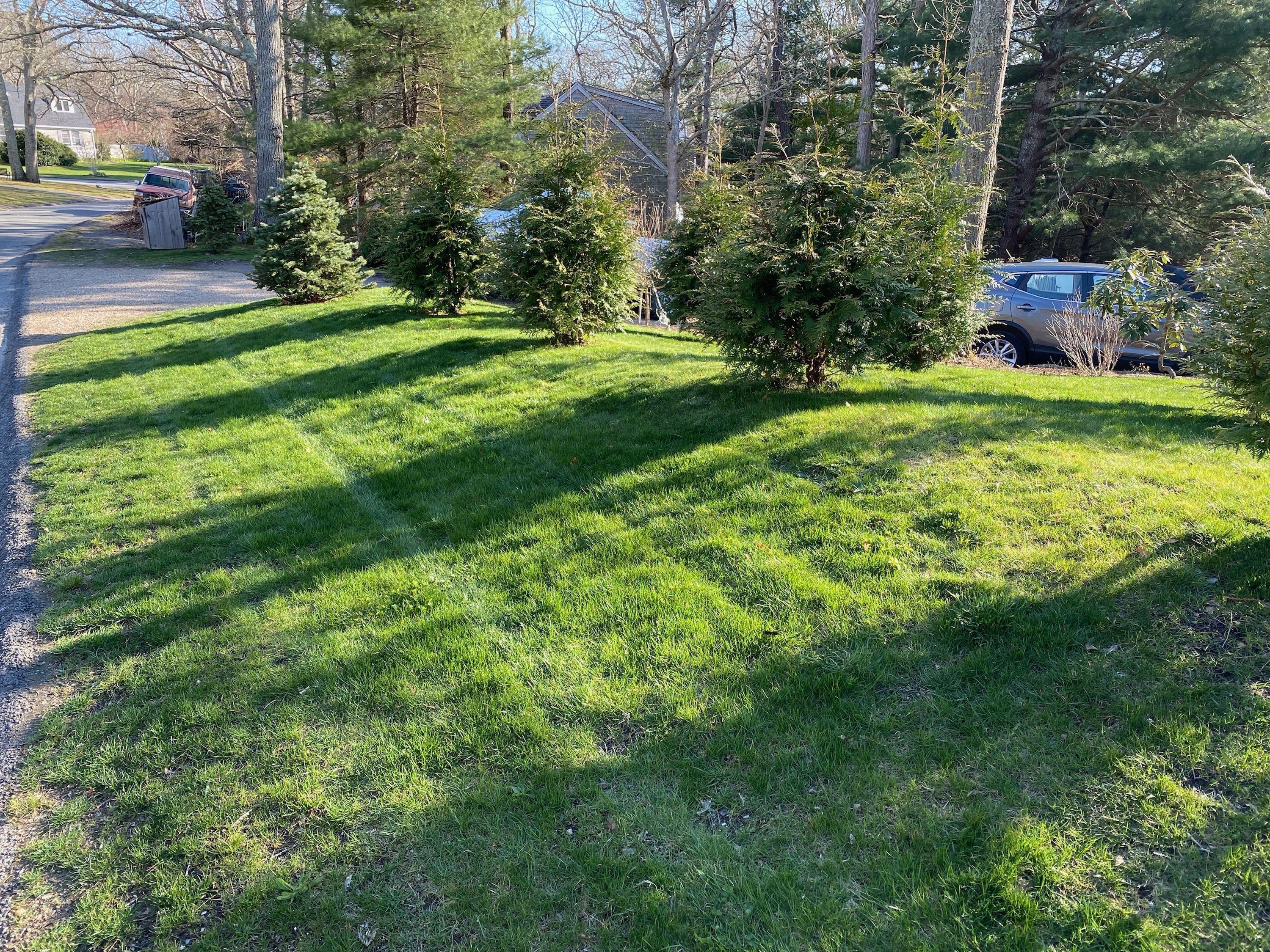 92 Springhill Road Vineyard Haven, MA 02568 - Photo 18 of 38 a view of a trees with a yard
