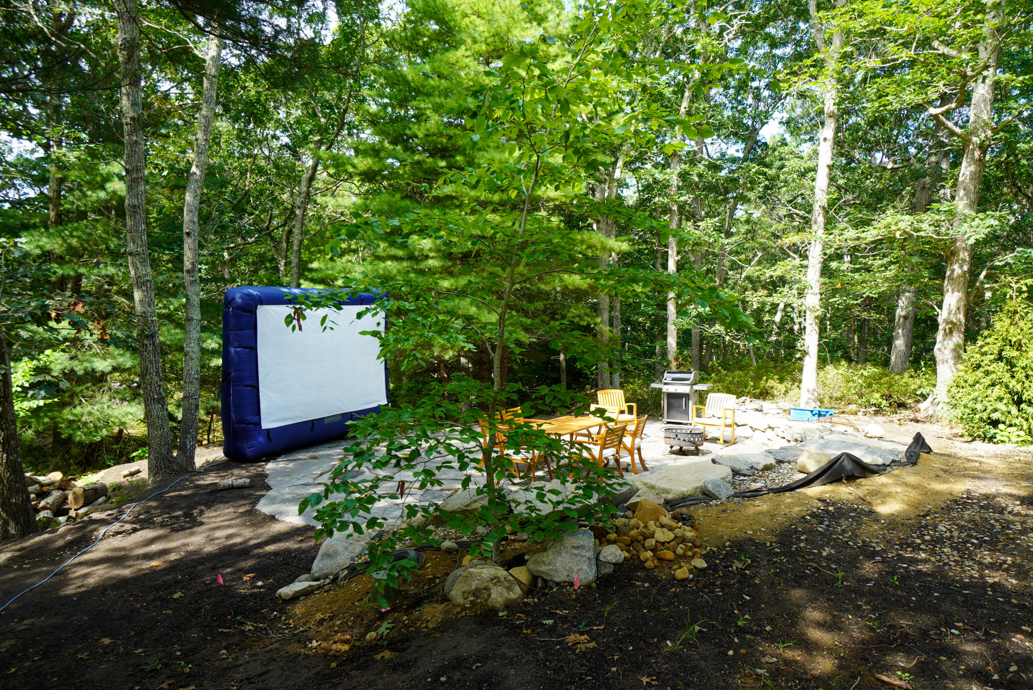 92 Springhill Road Vineyard Haven, MA 02568 - Photo 22 of 38 a view of a backyard with large trees