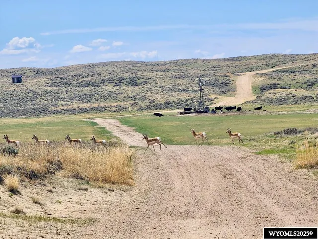 $29,497 | 127 Stuckenhoff Street, Casper, WY 82601